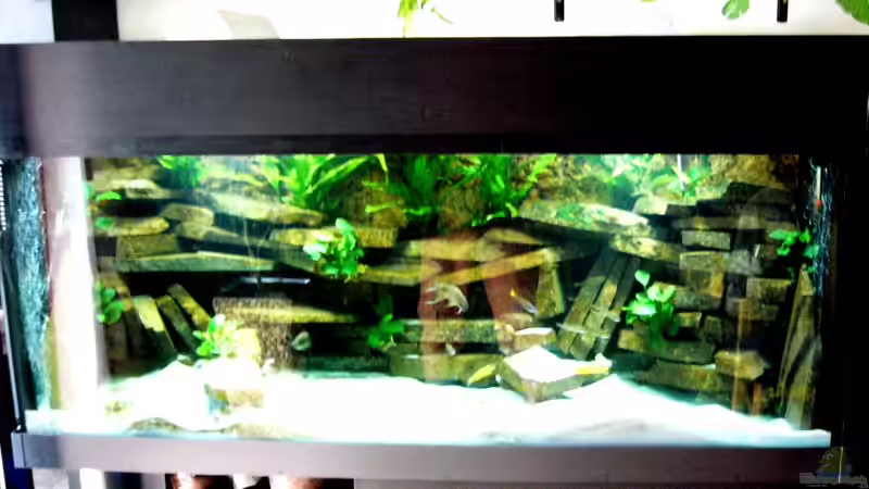 Aquarium Becken 23529 von Jedy (11)