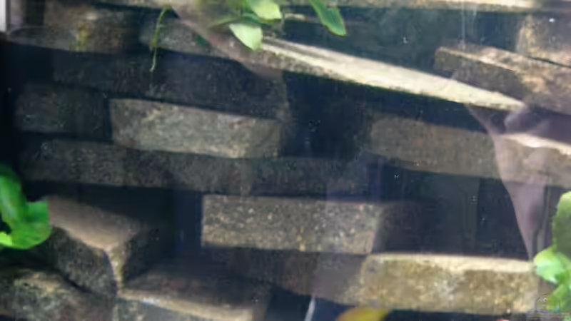 Aquarium Becken 23533 von Jedy (10)