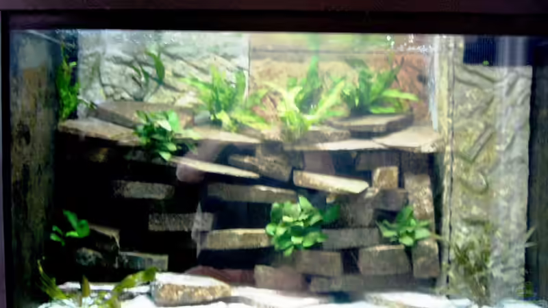 Aquarium Becken 23533 von Jedy (2)