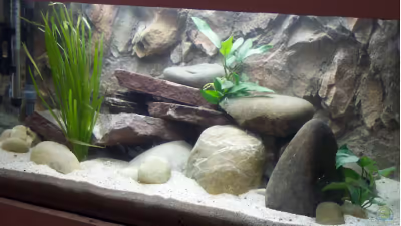 Aquarium Becken 237 von Mathias Popp (2)