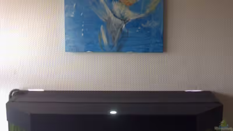 Aquarium Becken 2373 von Kai Wichmann (2)