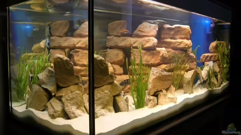 Aquarium Becken 2393 von Eike Schulz (3)