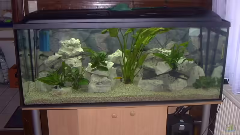 Aquarium Becken 2409 von Andy Lißner (2)