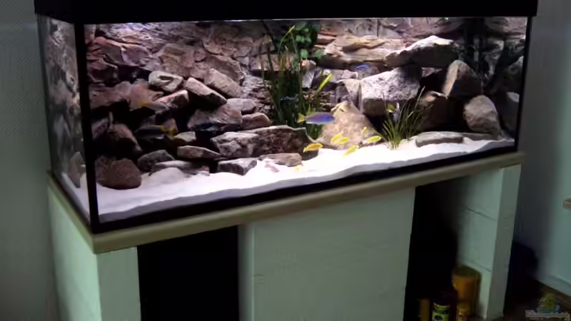 Aquarium Becken 2429 von Logo (4)