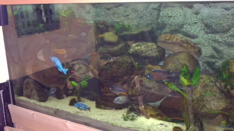 Aquarium Becken 2435 von Jens Szymaniak (2)