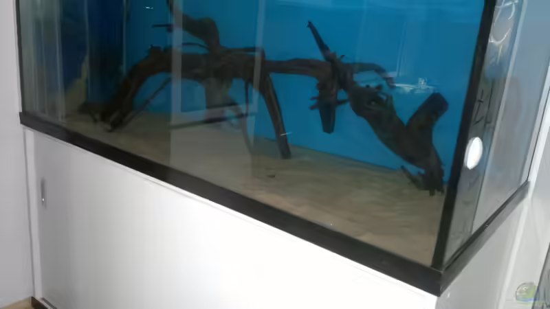 Aquarium Becken 24363 von Skyblyes (4)