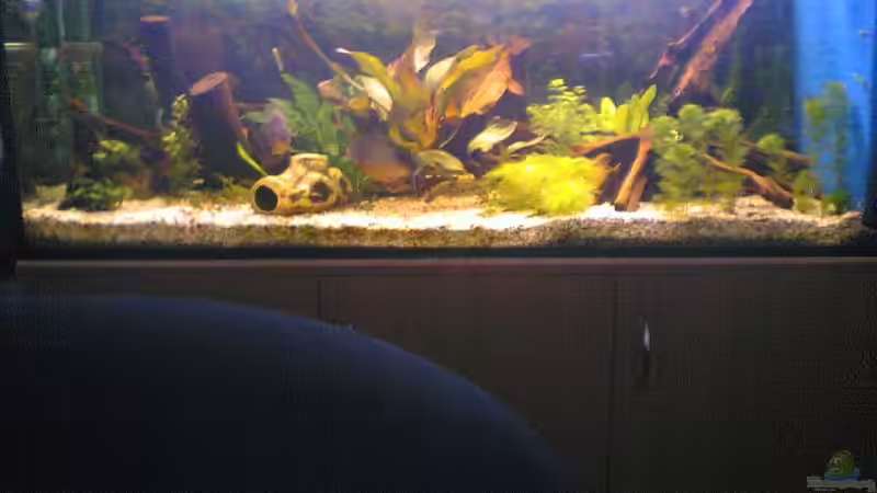 Aquarium Becken 2439 von Sirko Laskowsky (3)