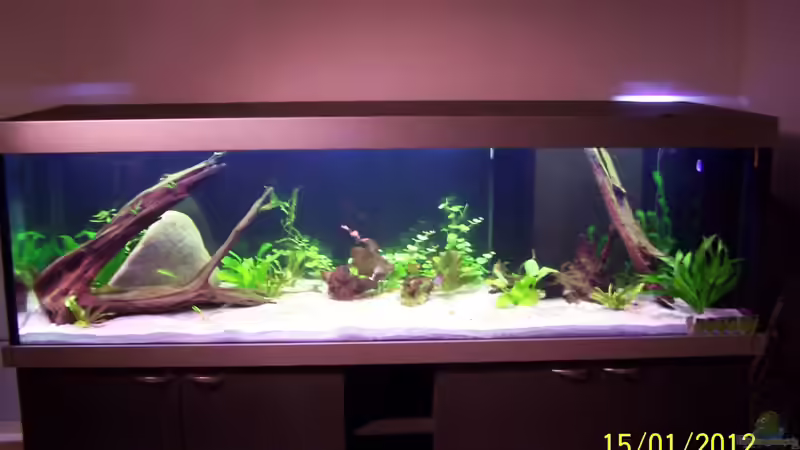 Aquarium Becken 24596 von Stefan Arenth (15)