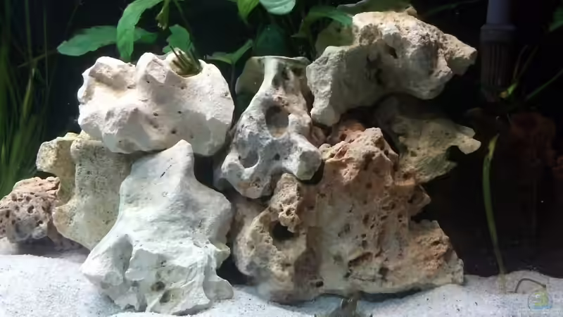 Aquarium Becken 24810  ABZUGEBEN! von ABZUGEBEN!! (2)