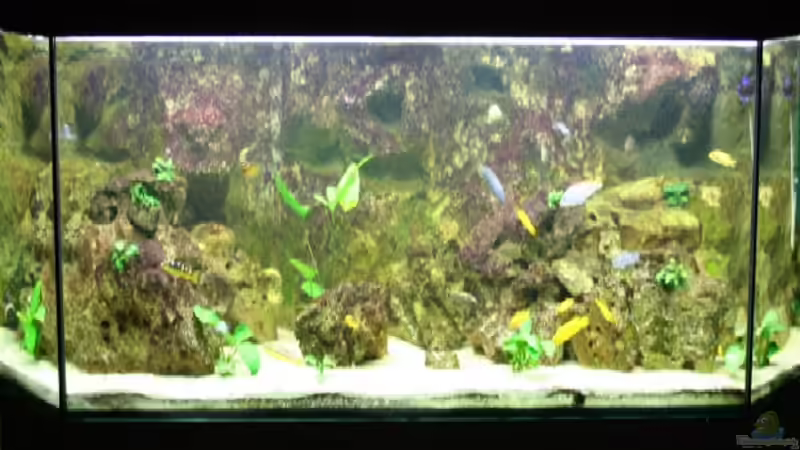 Aquarium Becken 2492 von Sascha Biedermann (3)