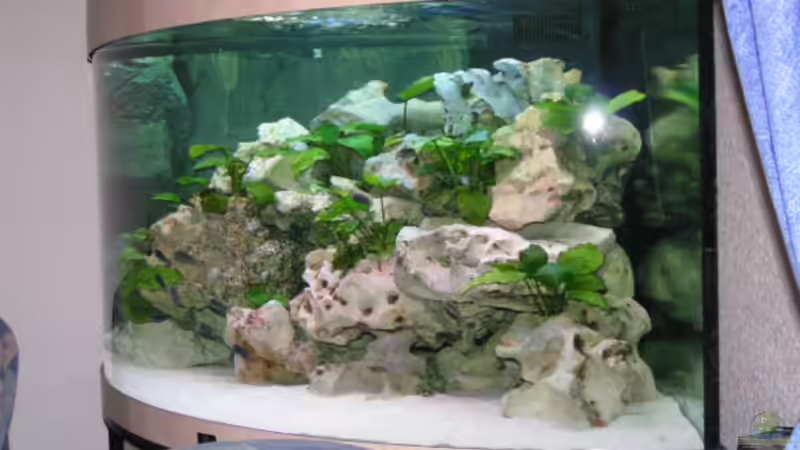 Aquarium Becken 2495 von Dirk Ramoue (4)