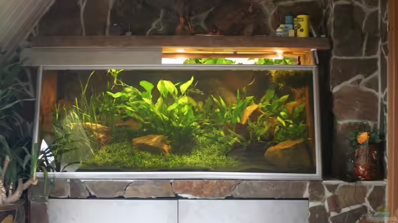 Aquarium Becken 2500 von Marcus Schulte (6)