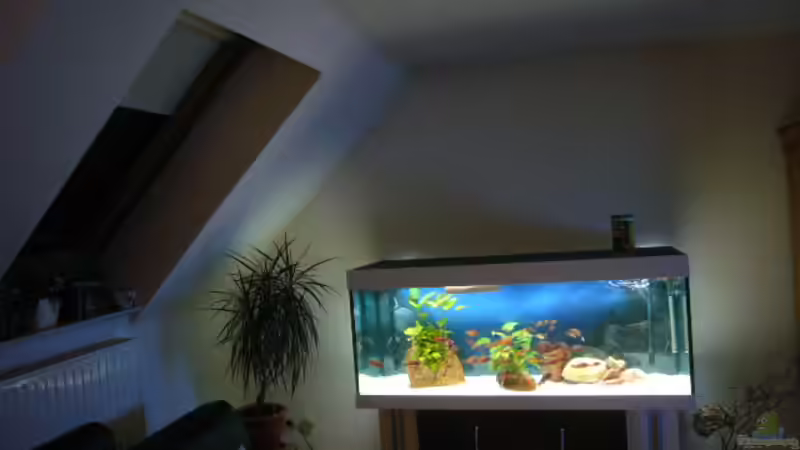 Aquarium Becken 2517 von Eva Neuhaus (3)