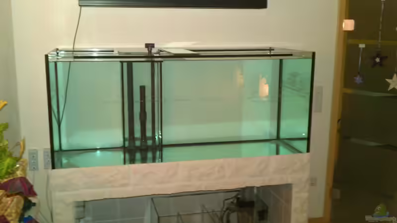 Aquarium Becken 25171 von Dirk Müller (2)