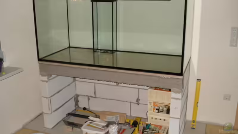 Aquarium Becken 25171 von Dirk Müller (4)