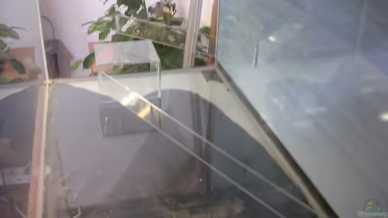 Aquarium Becken 2523 von Thomas Schlechter (3)