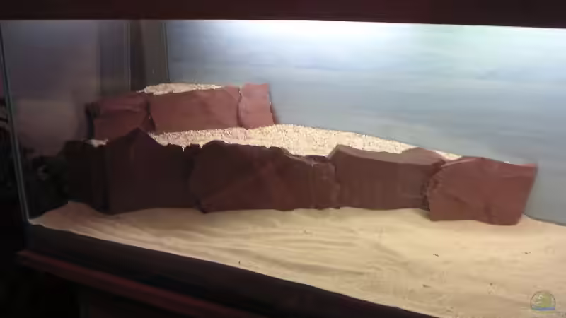 Aquarium Becken 2523 von Thomas Schlechter (7)