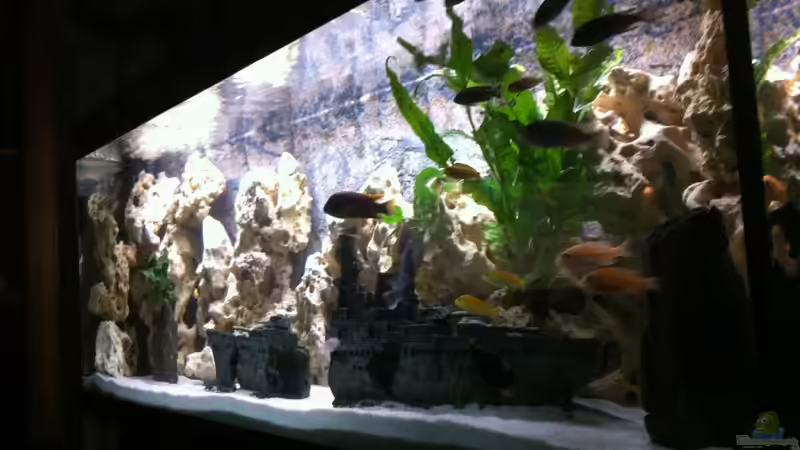 Aquarium Becken 25240 von neues becken 720 l (3)