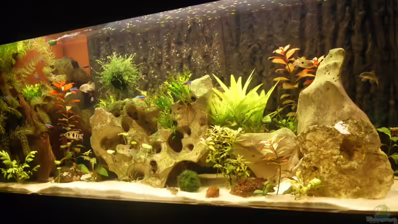 Aquarium Becken 25271 von Thmsprb (2)