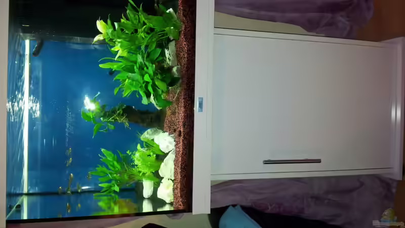 Aquarium Becken 25333 von Käptn Hook (2)