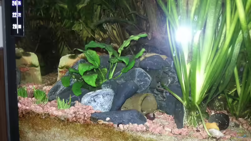 Aquarium Becken 25376 von Berry (11)