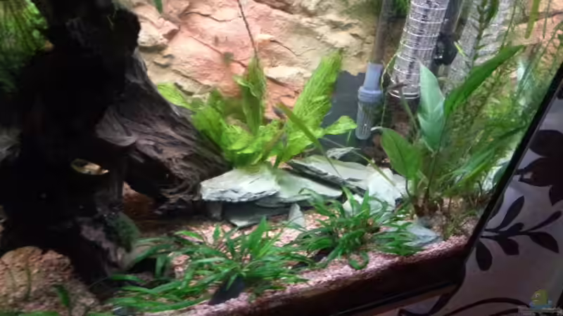 Aquarium Becken 25376 von Berry (3)