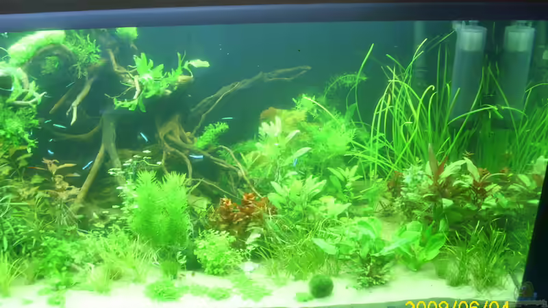 Aquarium Becken 25448 von Herbert Baier (4)