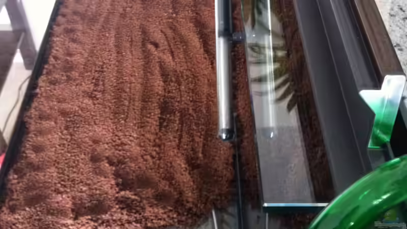 Aquarium Becken 25465 von Sascha T. (3)