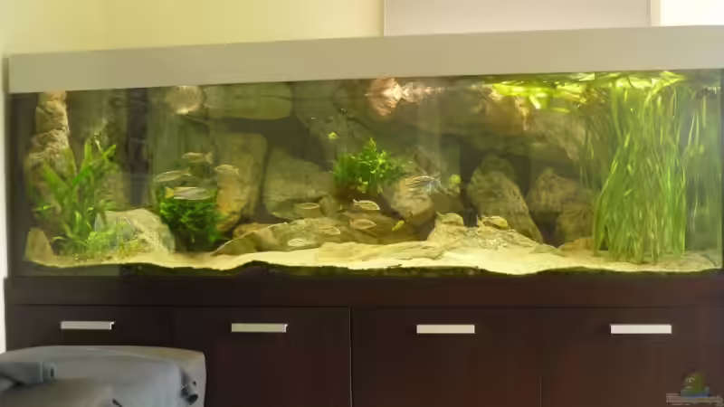 Aquarium Becken 2548 von Crenii (9)