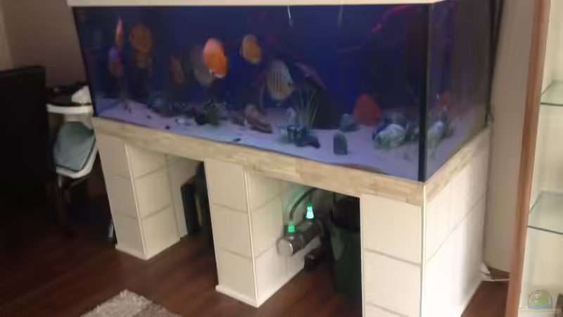 Aquarium Becken 25614 von Diskusi (2)