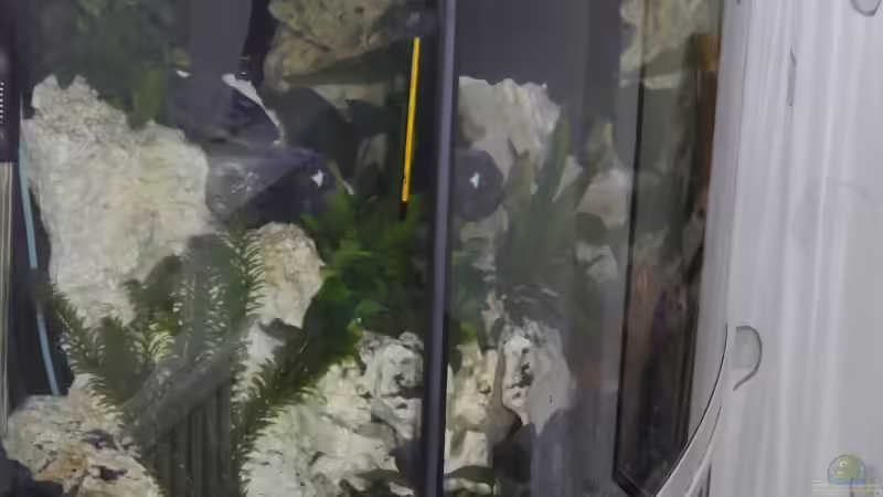 Aquarium Becken 25630 von Gerhard Zechner (5)