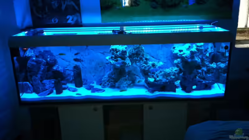 Aquarium Becken 25658 von neues becken 720 l (2)