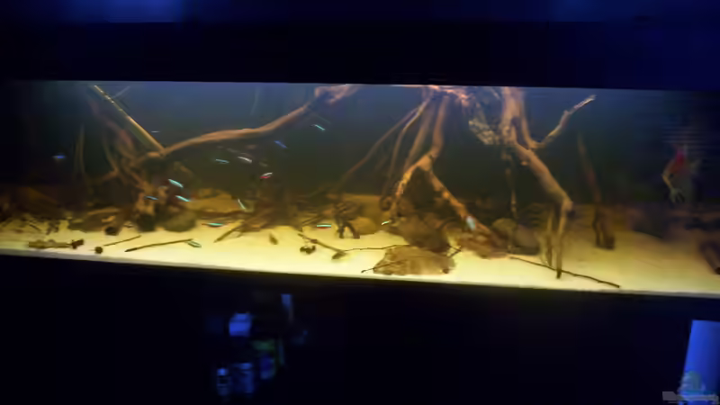 Aquarium Becken 25669 von Dr.Fishtank (9)