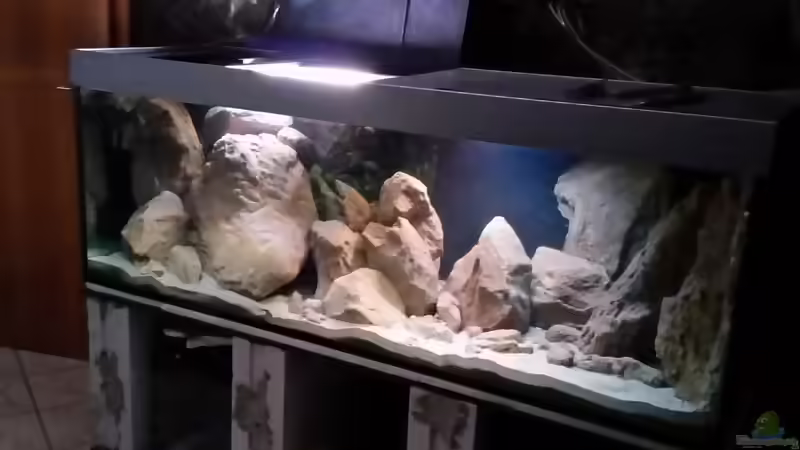 Aquarium Becken 25855 von Sauerlandmalawi (4)