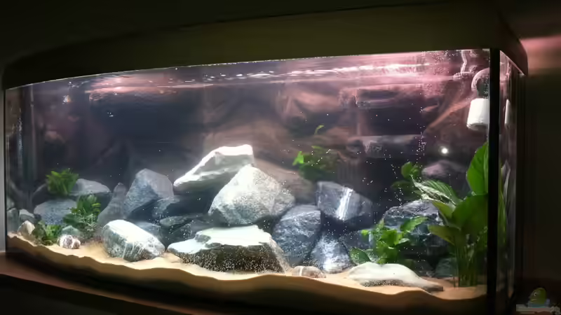 Aquarium Becken 26057 von Udo Lehr (20)