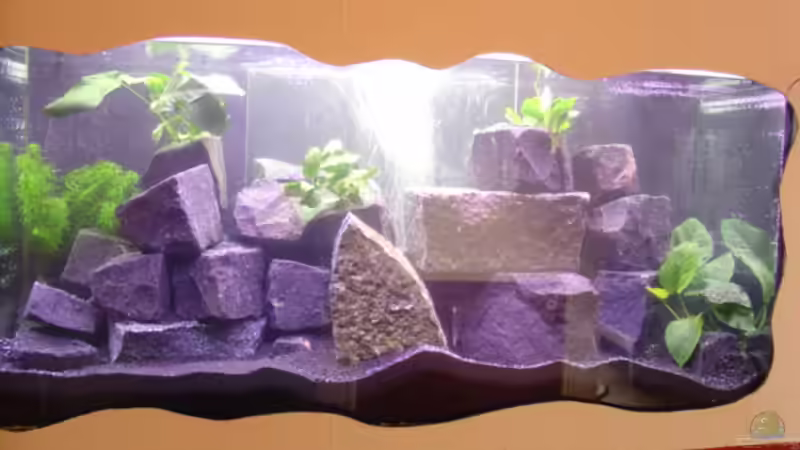 Aquarium Becken 2636 von Daniel Kronmüller (2)