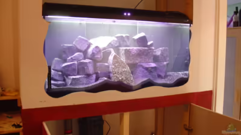 Aquarium Becken 2636 von Daniel Kronmüller (7)