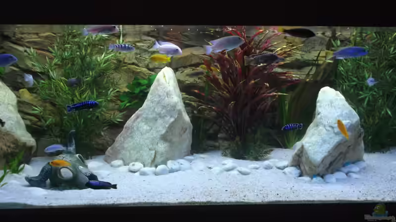 Aquarium Becken 26600 von Waldemar Oswald (14)