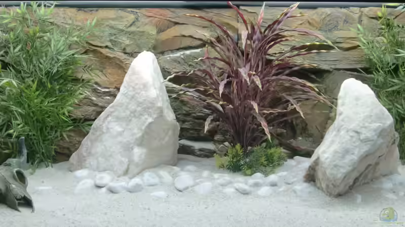 Aquarium Becken 26600 von Waldemar Oswald (2)