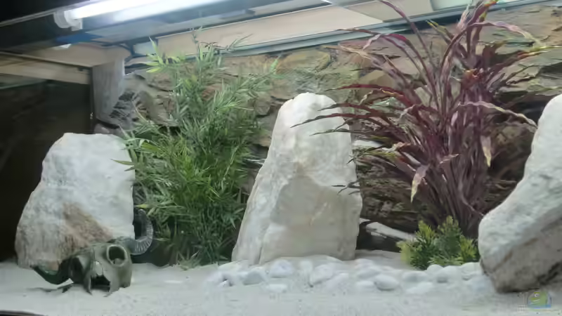 Aquarium Becken 26600 von Waldemar Oswald (4)