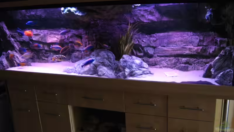 Aquarium Becken 26682 von airborn28 (2)