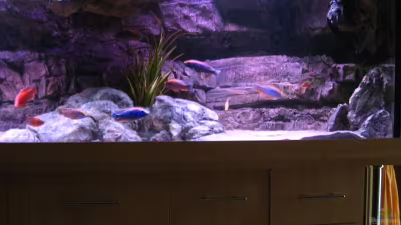 Aquarium Becken 26682 von airborn28 (3)