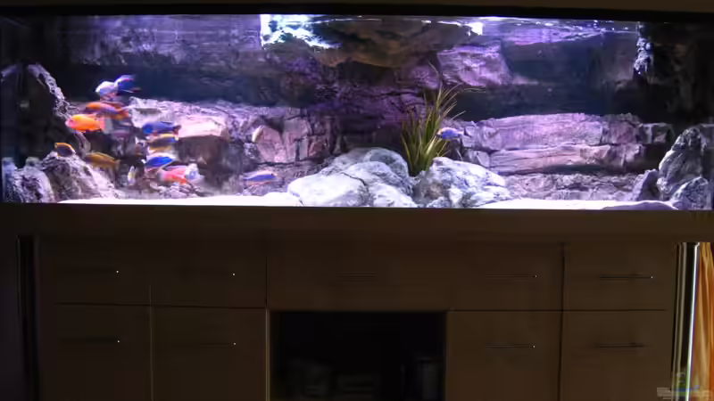 Aquarium Becken 26682 von airborn28 (5)