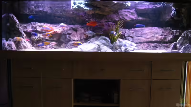 Aquarium Becken 26682 von airborn28 (6)