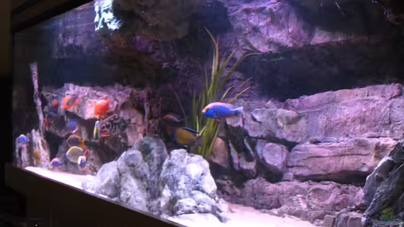 Aquarium Becken 26682 von airborn28 (8)