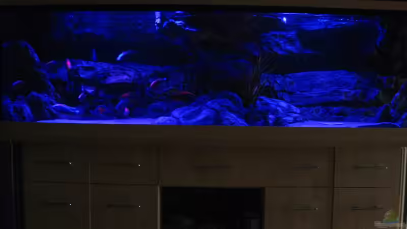 Aquarium Becken 26682 von airborn28 (9)