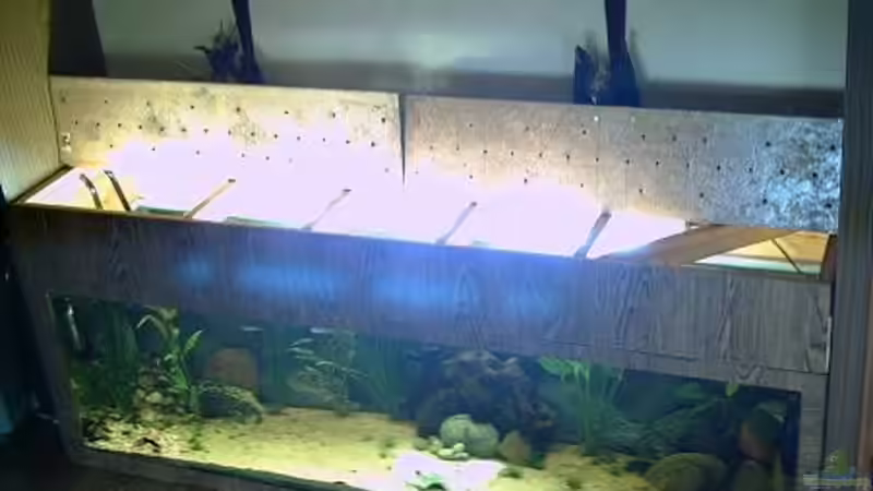 Aquarium Becken 2699 von Thomas Schröder (5)