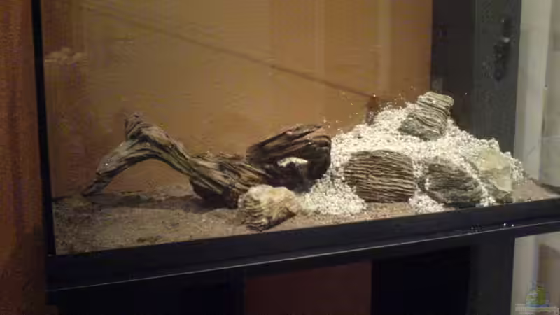 Aquarium Becken 2707 von Mischa Vos (4)