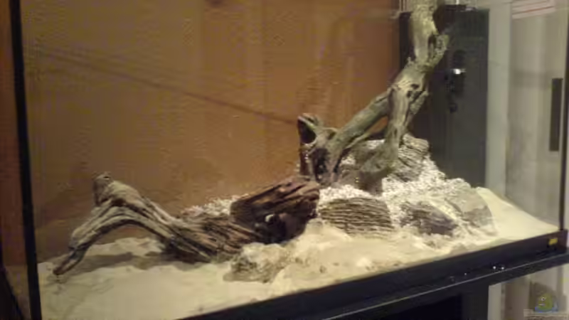 Aquarium Becken 2707 von Mischa Vos (5)