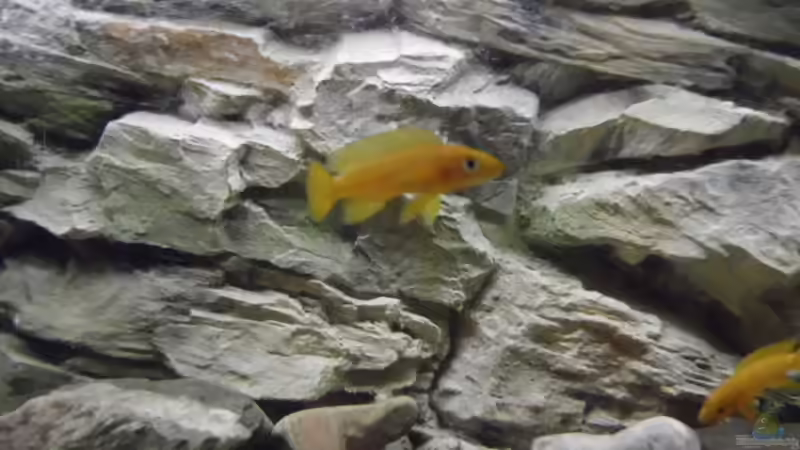 Aquarium Becken 27195 von Angelheart (4)